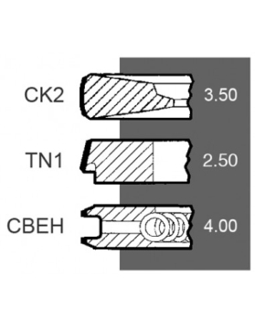 PISTON RING SET Ø 100 MM - STD | PERKINS | 4181A065