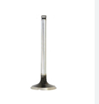 INTAKE VALVE Ø 45.00 X 9.50 MM - L 122.90 MM - 45 ° | PERKINS | AB 1004-4T | 3142L072TVH