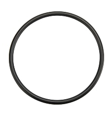 O-RING | HYSTER | H9.00 | 87281